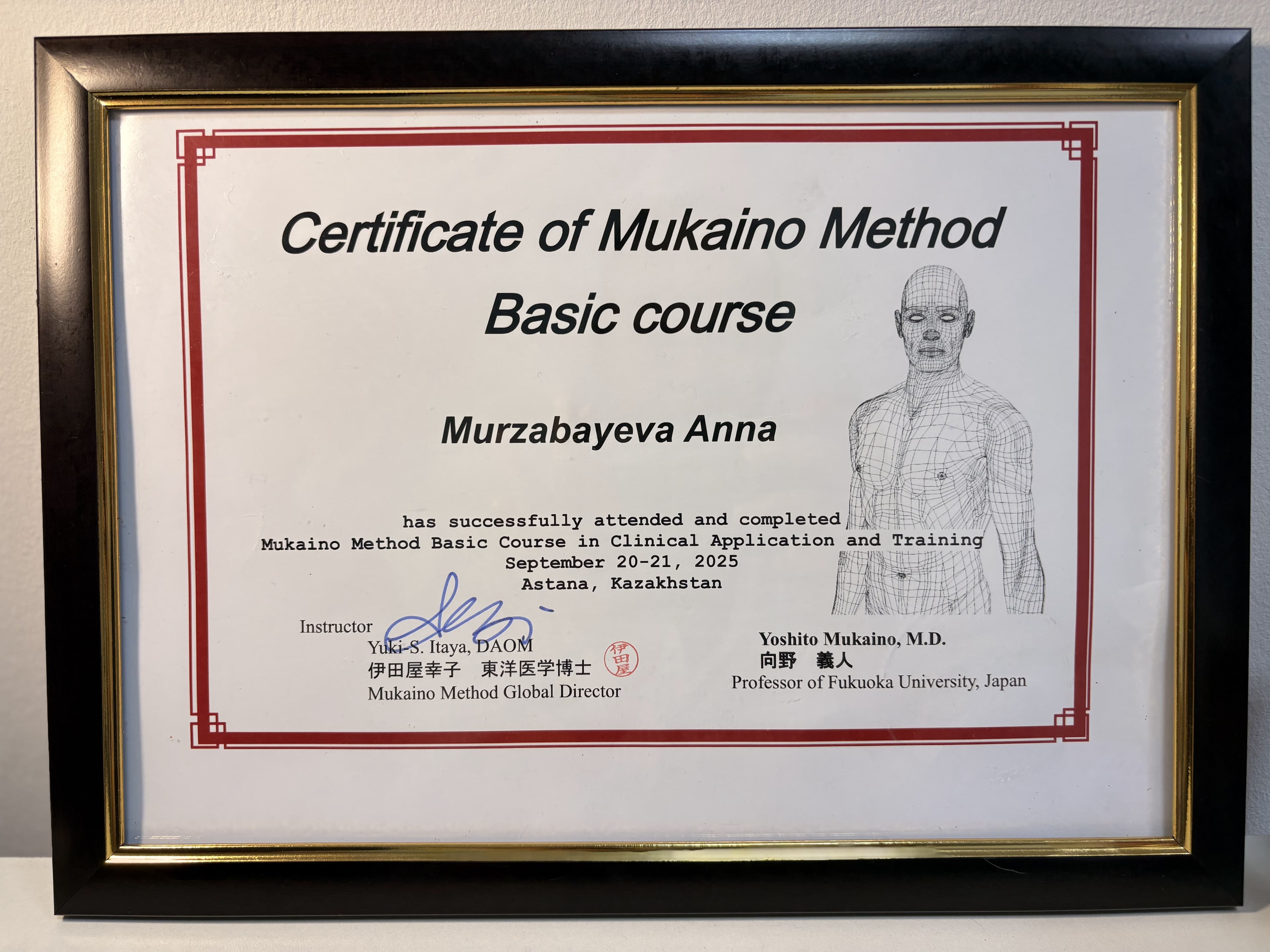 Сертификат Mukaino Method Basic Course